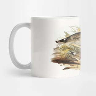 Large-billed Plover (Esacus magnirostris) Mug